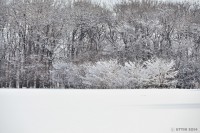 /album/%e3%83%95%e3%82%a9%e3%83%88%e3%82%ae%e3%83%a3%e3%83%a9%e3%83%aa%e3%83%bc/%e7%99%bd%e3%81%84%e8%a1%a3%e3%81%ae%e9%98%b2%e9%a2%a8%e6%9e%97%e3%80%80%ef%bd%9e%e5%b5%90%e6%98%8e%e3%81%91%e3%81%ae%e6%9c%9d%ef%bd%9e-jpg/